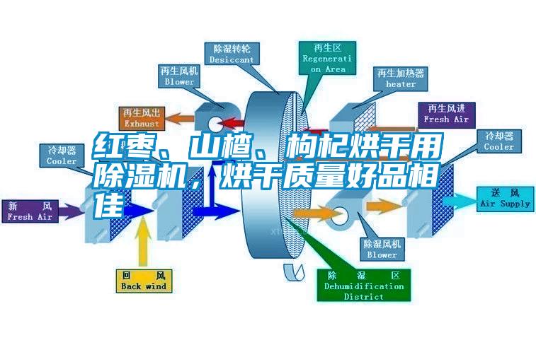 紅棗、山楂、枸杞烘干用除濕機(jī)，烘干質(zhì)量好品相佳