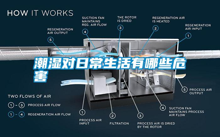 潮濕對(duì)日常生活有哪些危害