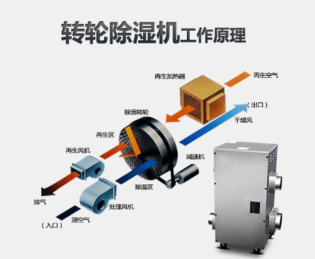 加濕器與除濕機：生活中更需要哪一個？