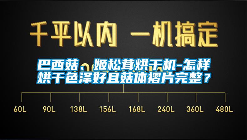 巴西菇、姬松茸烘干機(jī)-怎樣烘干色澤好且菇體褶片完整？