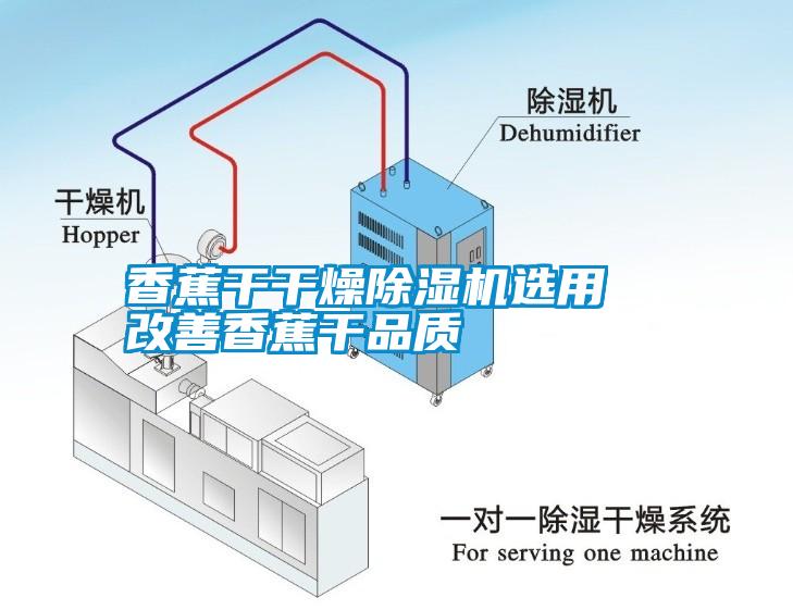 香蕉干干燥除濕機(jī)選用  改善香蕉干品質(zhì)