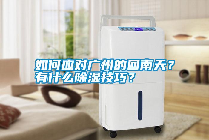 如何應(yīng)對(duì)廣州的回南天？有什么除濕技巧？