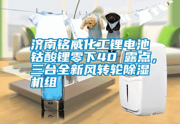 濟南銘威化工鋰電池鈷酸鋰零下40℃露點，三臺全新風(fēng)轉(zhuǎn)輪除濕機組