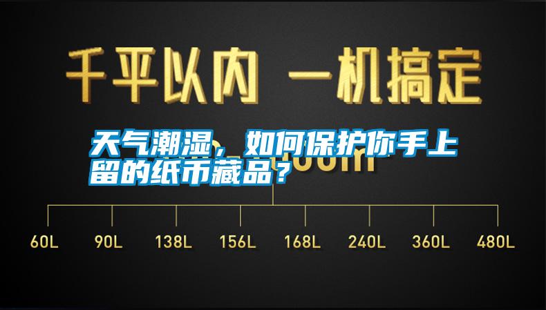 天氣潮濕，如何保護你手上留的紙幣藏品？