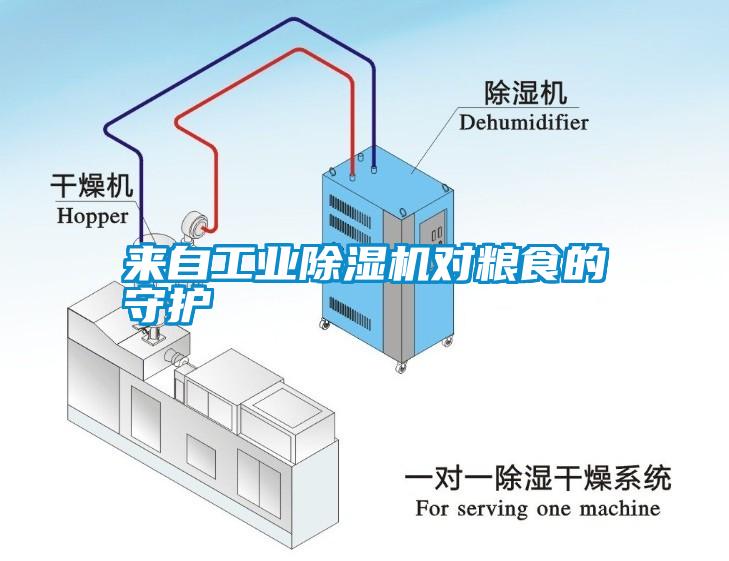 來(lái)自工業(yè)除濕機(jī)對(duì)糧食的守護(hù)