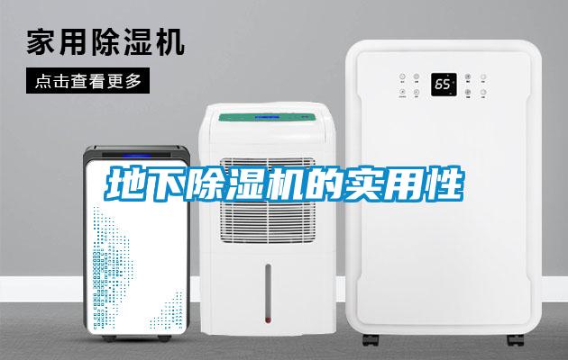 地下除濕機的實用性