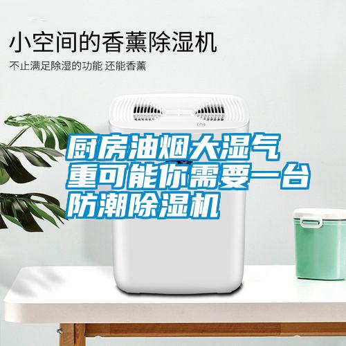 廚房油煙大濕氣重可能你需要一臺(tái)防潮除濕機(jī)