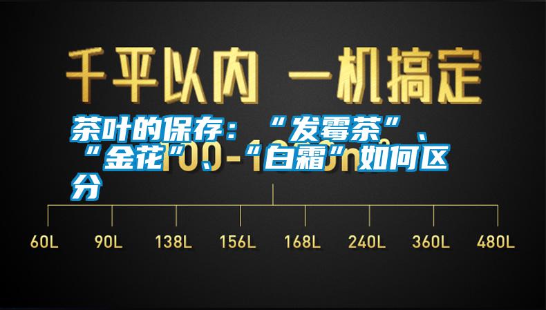 茶葉的保存：“發(fā)霉茶”、“金花”、“白霜”如何區(qū)分