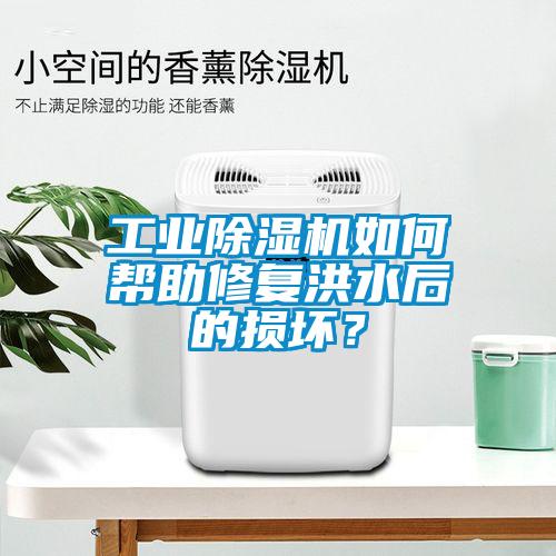 工業(yè)除濕機如何幫助修復(fù)洪水后的損壞？