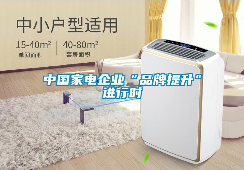 中國家電企業(yè)“品牌提升”進行時