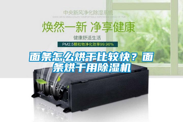 面條怎么烘干比較快？面條烘干用除濕機(jī)