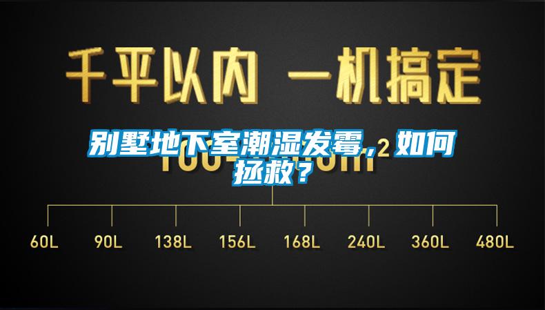 別墅地下室潮濕發(fā)霉，如何拯救？