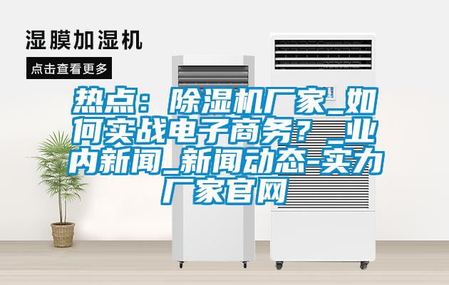 熱點：除濕機廠家_如何實戰(zhàn)電子商務？_業(yè)內新聞_新聞動態(tài)-實力廠家官網