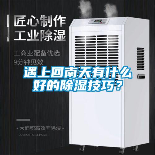 遇上回南天有什么好的除濕技巧？