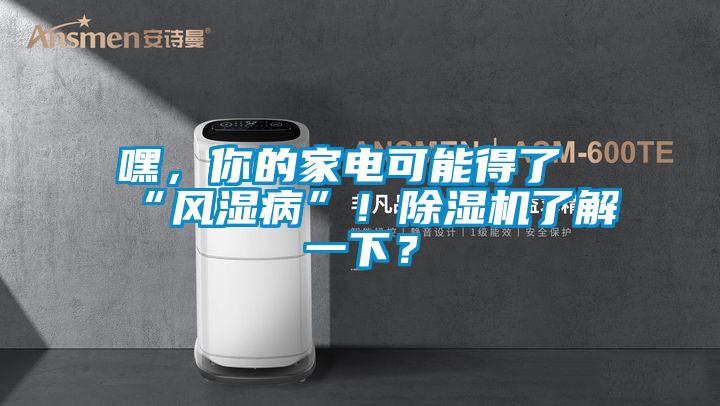 嘿，你的家電可能得了“風(fēng)濕病”！除濕機了解一下？