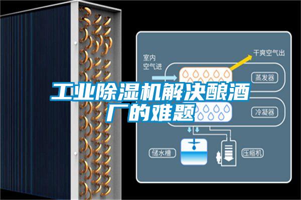 工業(yè)除濕機(jī)解決釀酒廠(chǎng)的難題