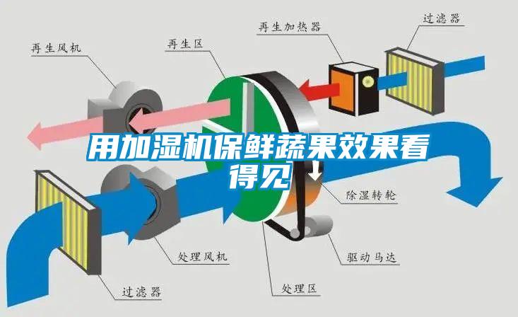 用加濕機(jī)保鮮蔬果效果看得見(jiàn)