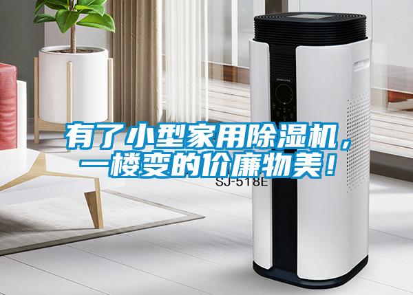 有了小型家用除濕機(jī)，一樓變的價(jià)廉物美！