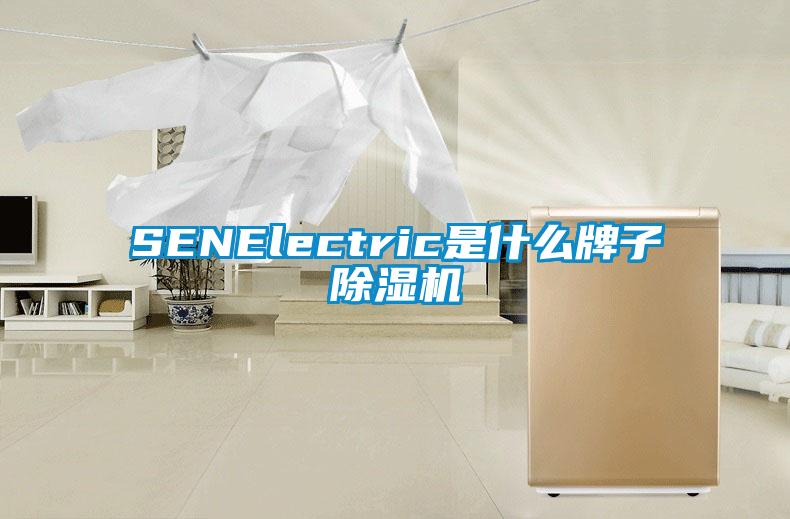 SENElectric是什么牌子除濕機(jī)