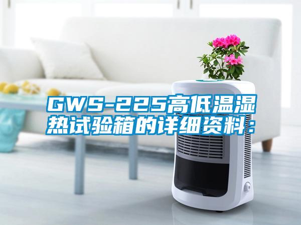 GWS-225高低溫濕熱試驗(yàn)箱的詳細(xì)資料：