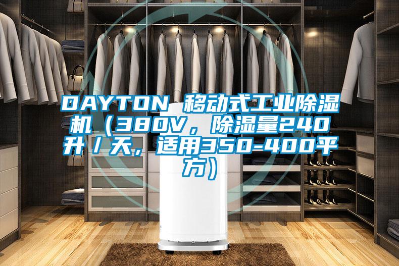 DAYTON 移動(dòng)式工業(yè)除濕機(jī)（380V，除濕量240升／天，適用350-400平方）