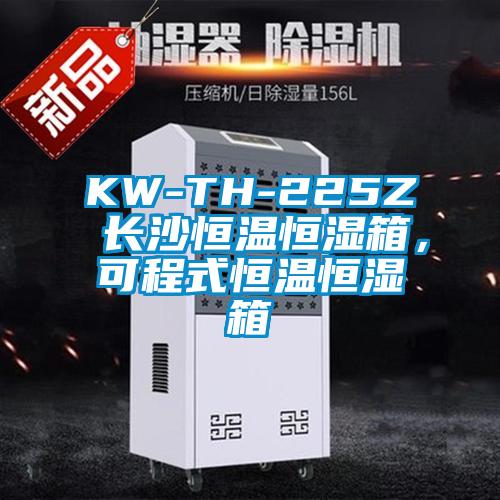 KW-TH-225Z 長(zhǎng)沙恒溫恒濕箱，可程式恒溫恒濕箱