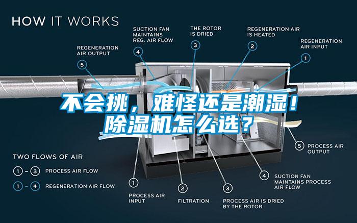 不會(huì)挑，難怪還是潮濕！除濕機(jī)怎么選？