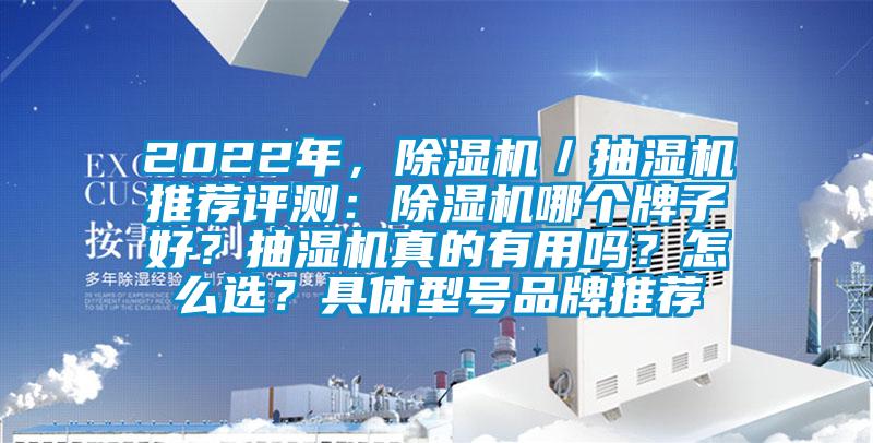 2022年，除濕機／抽濕機推薦評測：除濕機哪個牌子好？抽濕機真的有用嗎？怎么選？具體型號品牌推薦