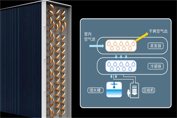 吊頂除濕機跟吊裝新風除濕機的區(qū)別