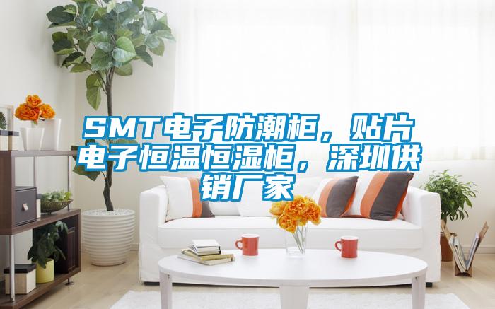 SMT電子防潮柜，貼片電子恒溫恒濕柜，深圳供銷廠家