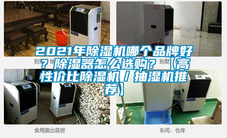 2021年除濕機哪個品牌好？除濕器怎么選購？【高性價比除濕機／抽濕機推薦】