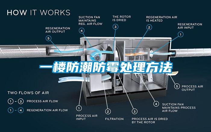 一樓防潮防霉處理方法