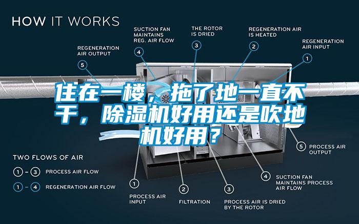 住在一樓，拖了地一直不干，除濕機好用還是吹地機好用？