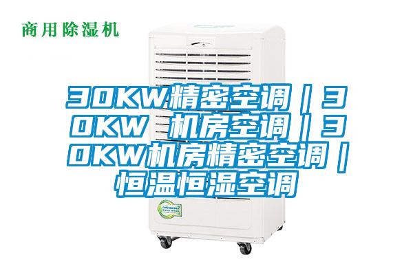 30KW精密空調(diào)｜30KW 機房空調(diào)｜30KW機房精密空調(diào)｜恒溫恒濕空調(diào)