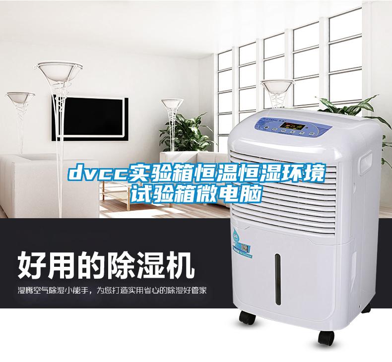 dvcc實(shí)驗(yàn)箱恒溫恒濕環(huán)境試驗(yàn)箱微電腦