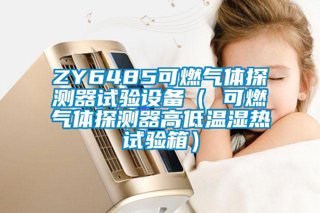 ZY6485可燃?xì)怏w探測器試驗設(shè)備（ 可燃?xì)怏w探測器高低溫濕熱試驗箱）