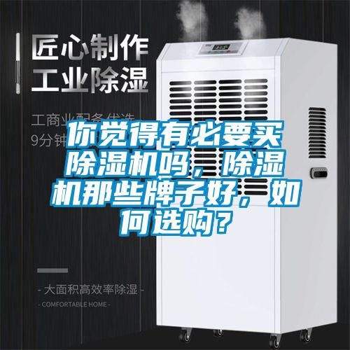 你覺得有必要買除濕機嗎，除濕機那些牌子好，如何選購？