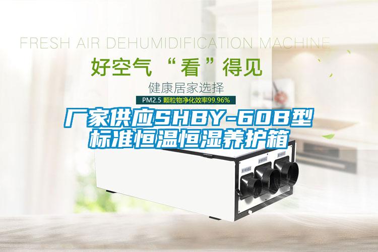 廠家供應SHBY-60B型標準恒溫恒濕養(yǎng)護箱