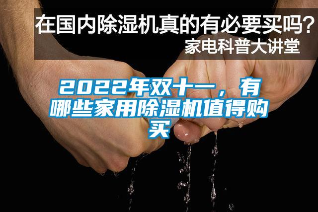 2022年雙十一，有哪些家用除濕機(jī)值得購買