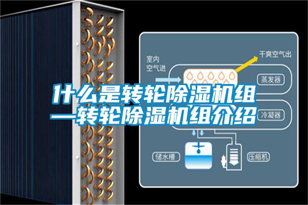 什么是轉輪除濕機組—轉輪除濕機組介紹
