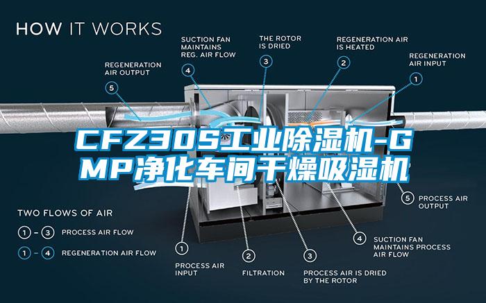 CFZ30S工業(yè)除濕機(jī)-GMP凈化車間干燥吸濕機(jī)