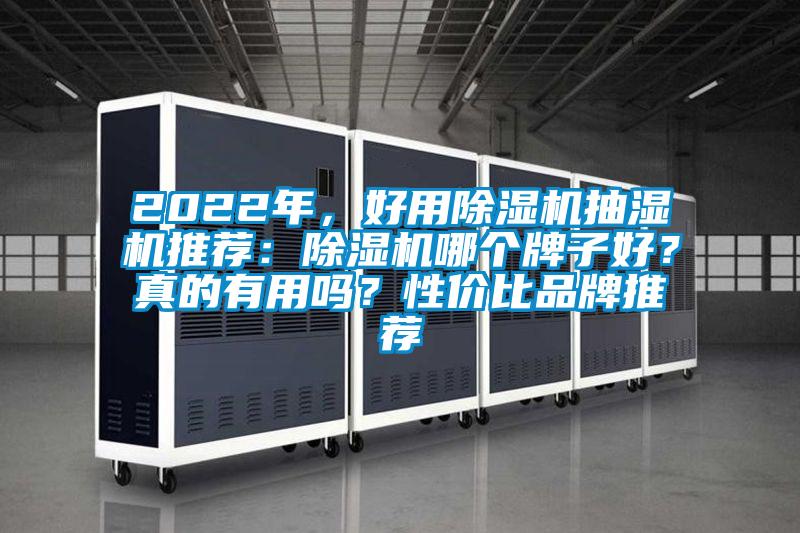 2022年，好用除濕機抽濕機推薦：除濕機哪個牌子好？真的有用嗎？性價比品牌推薦