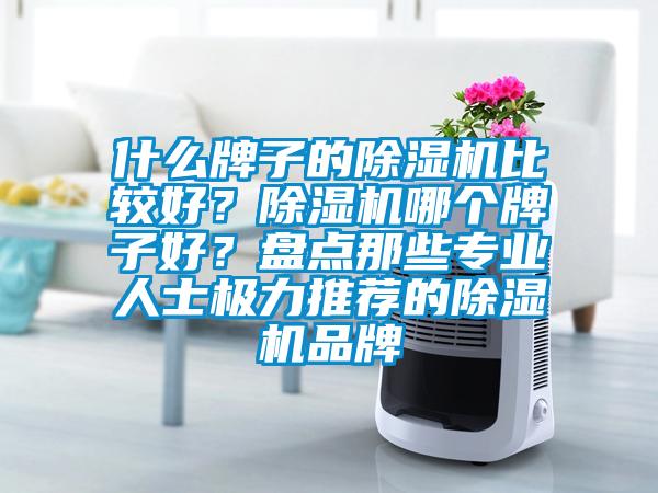 什么牌子的除濕機比較好？除濕機哪個牌子好？盤點那些專業(yè)人士極力推薦的除濕機品牌