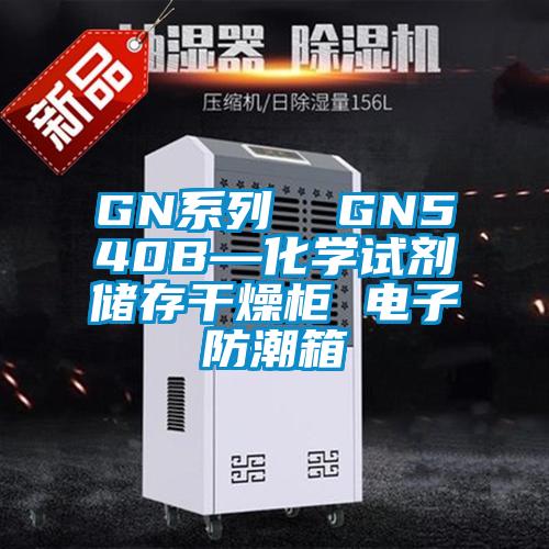 GN系列  GN540B—化學(xué)試劑儲(chǔ)存干燥柜 電子防潮箱