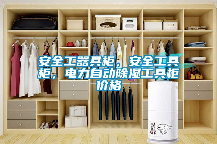 安全工器具柜，安全工具柜，電力自動除濕工具柜價格