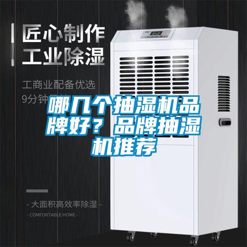 哪幾個抽濕機品牌好？品牌抽濕機推薦