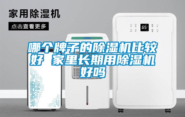 哪個牌子的除濕機比較好 家里長期用除濕機好嗎