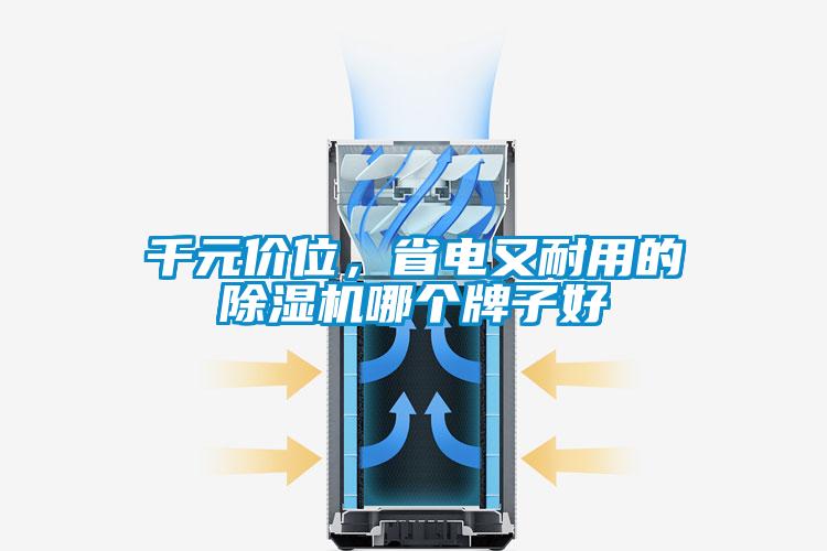 千元價(jià)位，省電又耐用的除濕機(jī)哪個(gè)牌子好