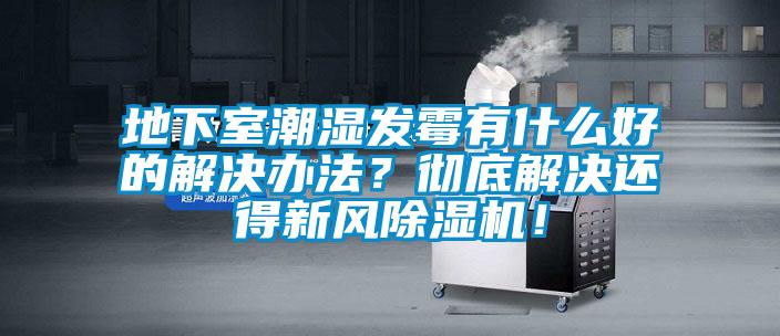 地下室潮濕發(fā)霉有什么好的解決辦法？徹底解決還得新風(fēng)除濕機(jī)！