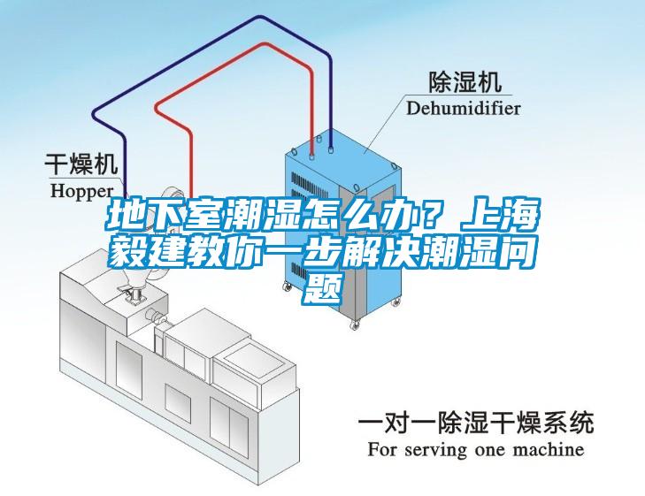 地下室潮濕怎么辦？上海毅建教你一步解決潮濕問題